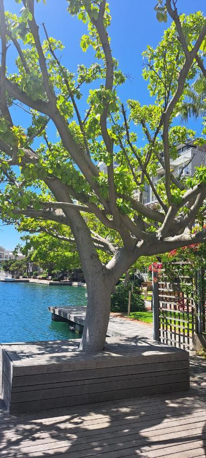 V&A Waterfront Marina Family Apartment 101 Altmore كيب تاون المظهر الخارجي الصورة